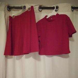 Crop Top and Skirt Set